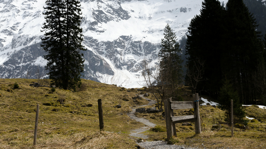 The Ultimate Summer UTV/ATV Trail List
