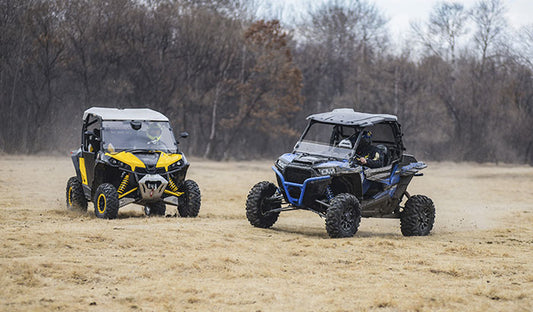 Can My Dog Go UTV Riding With Me?