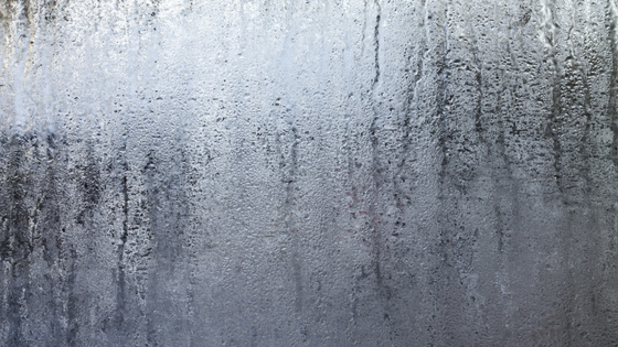 How To Keep Your Windshield From Fogging Up