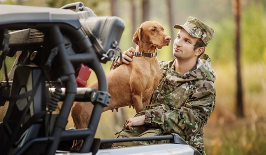 How to Keep Your Dog Safe on Your UTV
