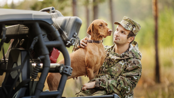 How To Keep your Dogs Safe in a UTV