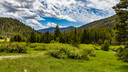 The 4 Best Places To Take Your UTV