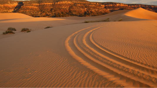 Utah's Ultimate Summer UTV and ATV Trail List
