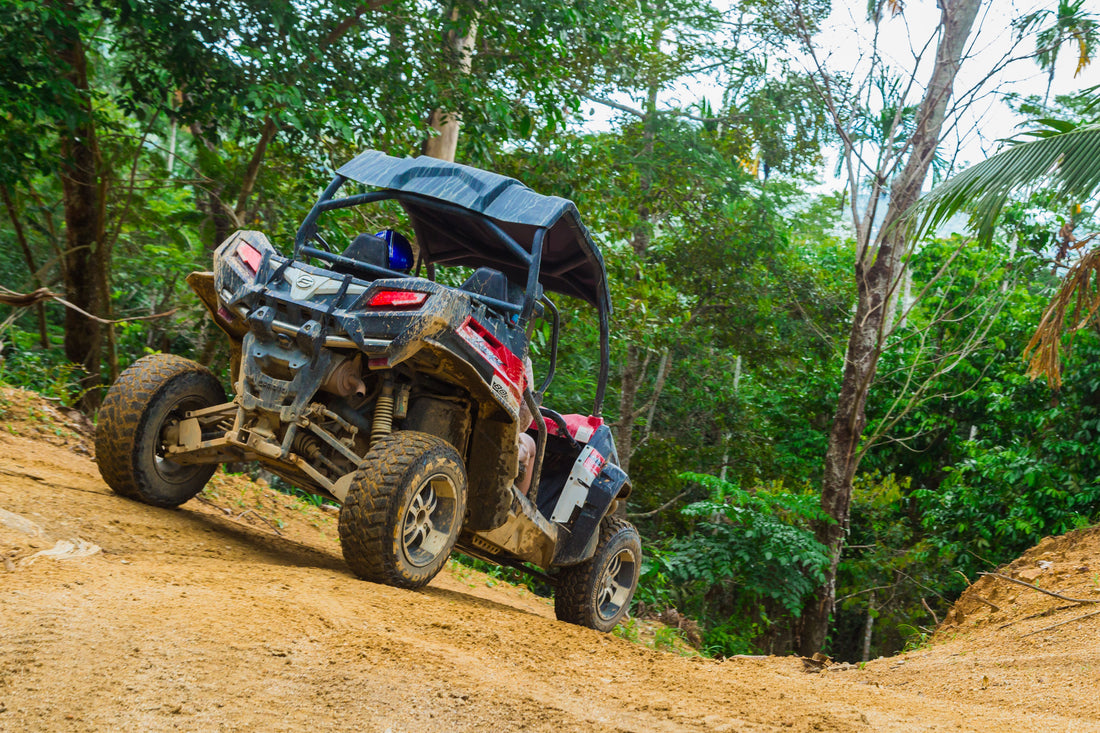 Everything You Need To Know About Roll Cages