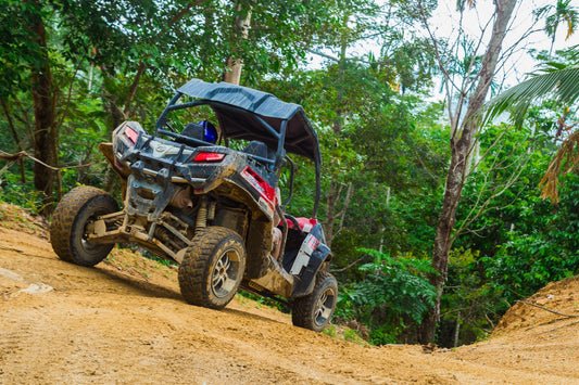 Everything You Need To Know About Roll Cages