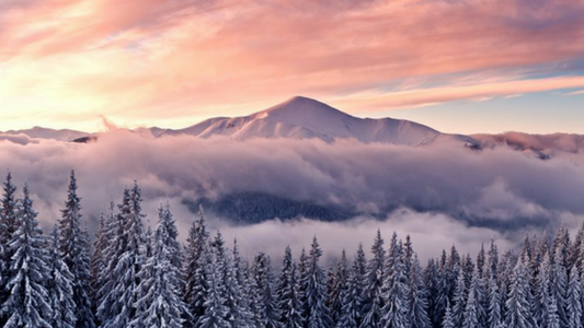 Top 5 UTV Winter Gadgets