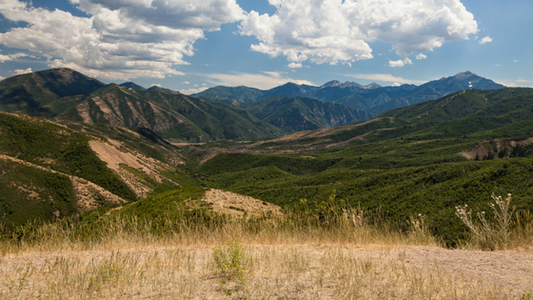 Utah's Best Mountain UTV Trails