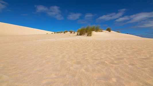 3 Best Sand Dunes in Utah