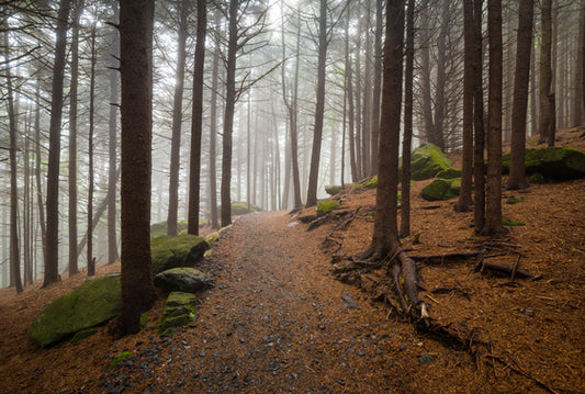 5 Best UTV Trails In The USA